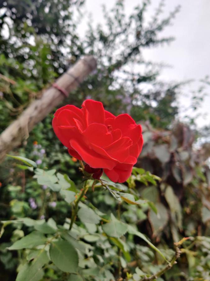 Westernghats Homestay Madikeri Buitenkant foto
