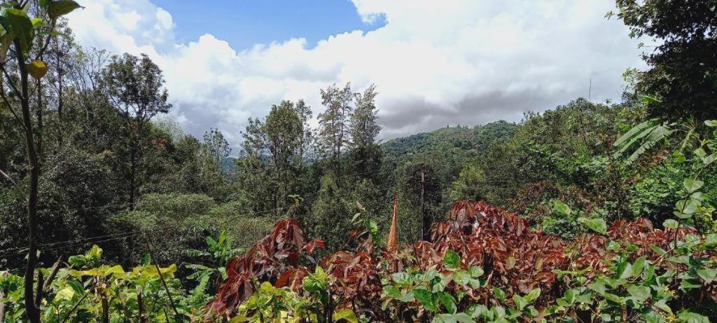 Westernghats Homestay Madikeri Buitenkant foto